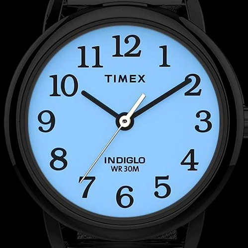 ZEGAREK DAMSKI TIMEX EASY READER TW2W32600 + BOX