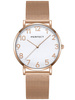 ZEGAREK DAMSKI PERFECT F342-07 (zp514d) + BOX