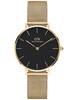 ZEGAREK DAMSKI DANIEL WELLINGTON DW00100347 - PETITE EVERGOLD 32mm (zw500e)