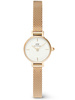 ZEGAREK DAMSKI DANIEL WELLINGTON Petite Mini Gold Stainless Steel 19mm DW00100745 + BOX (zw523b)